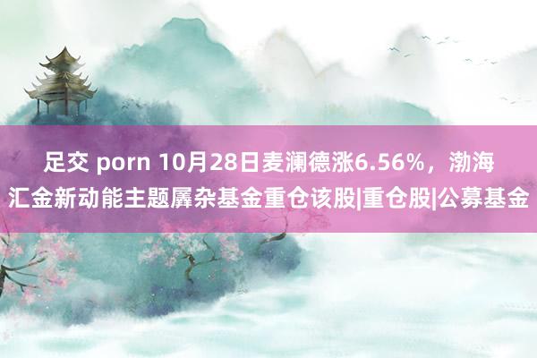足交 porn 10月28日麦澜德涨6.56%，渤海汇金新动能主题羼杂基金重仓该股|重仓股|公募基金