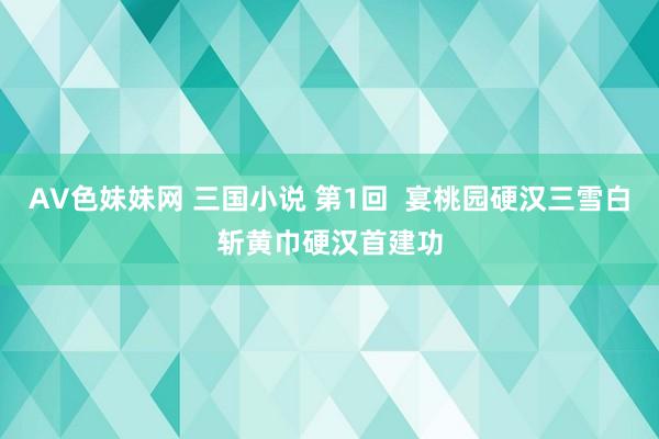 AV色妹妹网 三国小说 第1回  宴桃园硬汉三雪白　斩黄巾硬汉首建功
