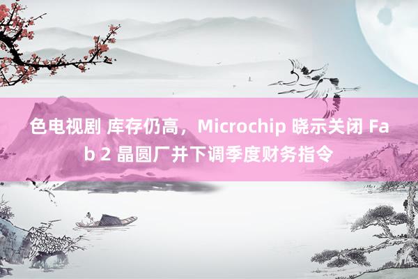 色电视剧 库存仍高，Microchip 晓示关闭 Fab 2 晶圆厂并下调季度财务指令