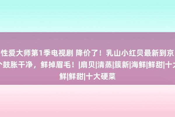 性爱大师第1季电视剧 降价了！乳山小红贝最新到京！个个鼓胀干净，鲜掉眉毛！|扇贝|清蒸|簇新|海鲜|鲜甜|十大硬菜