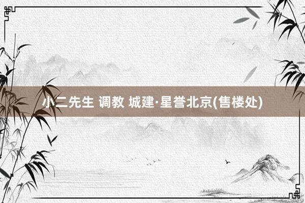 小二先生 调教 城建·星誉北京(售楼处)