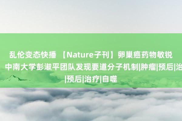 乱伦变态快播 【Nature子刊】卵巢癌药物敏锐性升迁：中南大学彭淑平团队发现要道分子机制|肿瘤|预后|治疗|自噬