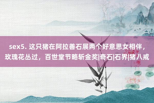 sex5. 这只猪在阿拉善石展两个好意思女相伴，玫瑰花丛过，百世堂节略斩金奖|奇石|石界|猪八戒