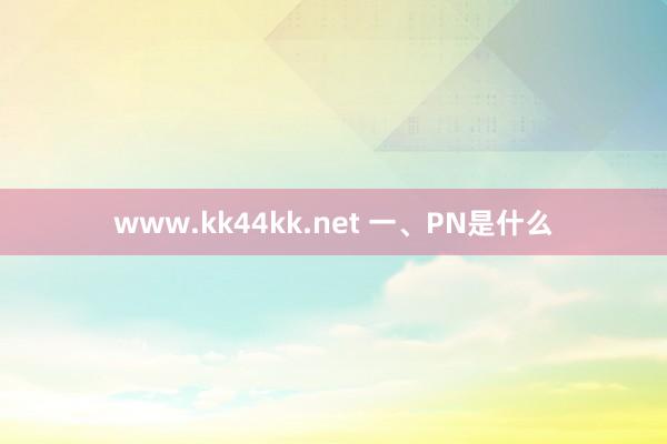 www.kk44kk.net 一、PN是什么