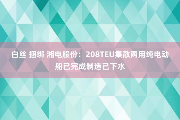 白丝 捆绑 湘电股份：208TEU集散两用纯电动船已完成制造已下水