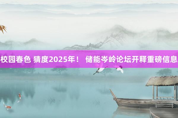 校园春色 猜度2025年！ 储能岑岭论坛开释重磅信息