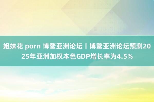 姐妹花 porn 博鳌亚洲论坛丨博鳌亚洲论坛预测2025年亚洲加权本色GDP增长率为4.5%