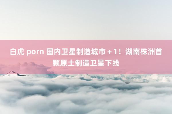 白虎 porn 国内卫星制造城市＋1！湖南株洲首颗原土制造卫星下线