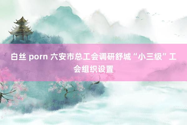 白丝 porn 六安市总工会调研舒城“小三级”工会组织设置