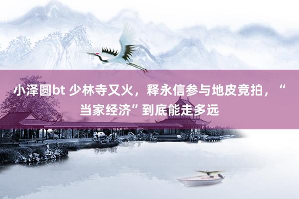 小泽圆bt 少林寺又火，释永信参与地皮竞拍，“当家经济”到底能走多远