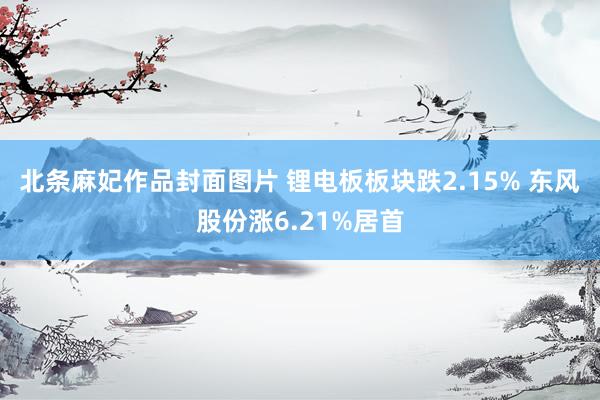 北条麻妃作品封面图片 锂电板板块跌2.15% 东风股份涨6.21%居首