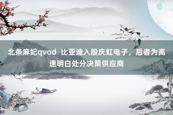 北条麻妃qvod  比亚迪入股庆虹电子，后者为高速明白处分决策供应商