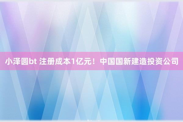 小泽圆bt 注册成本1亿元！中国国新建造投资公司