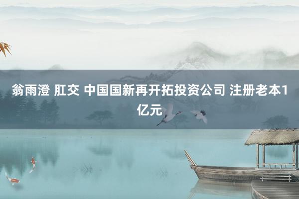 翁雨澄 肛交 中国国新再开拓投资公司 注册老本1亿元
