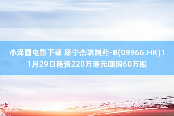 小泽圆电影下载 康宁杰瑞制药-B(09966.HK)11月29日耗资228万港元回购60万股