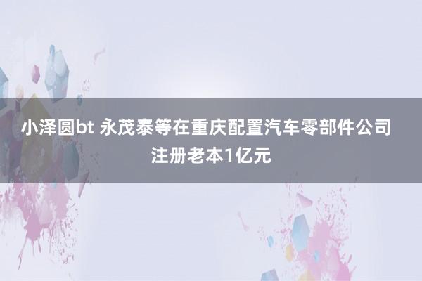 小泽圆bt 永茂泰等在重庆配置汽车零部件公司  注册老本1亿元