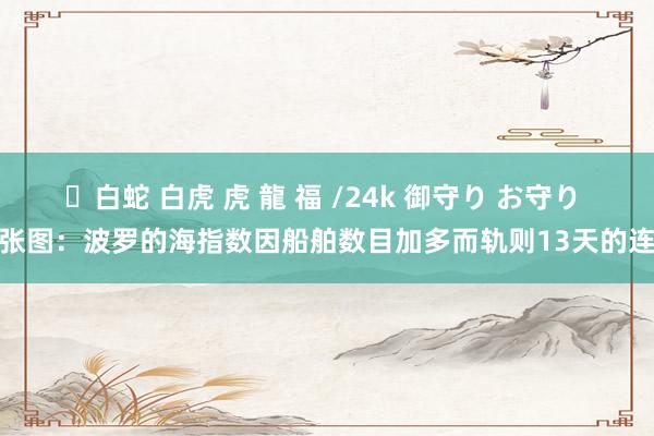 ✨白蛇 白虎 虎 龍 福 /24k 御守り お守り 一张图：波罗的海指数因船舶数目加多而轨则13天的连跌