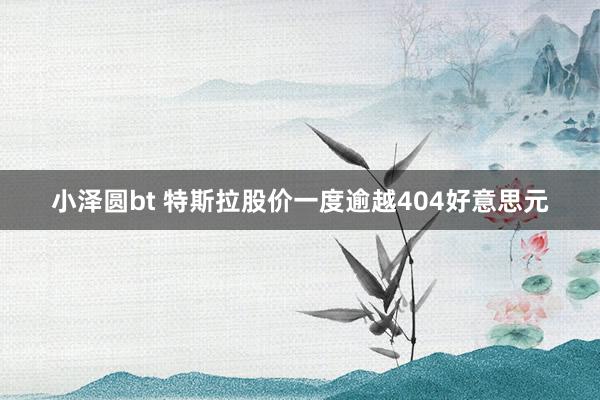 小泽圆bt 特斯拉股价一度逾越404好意思元
